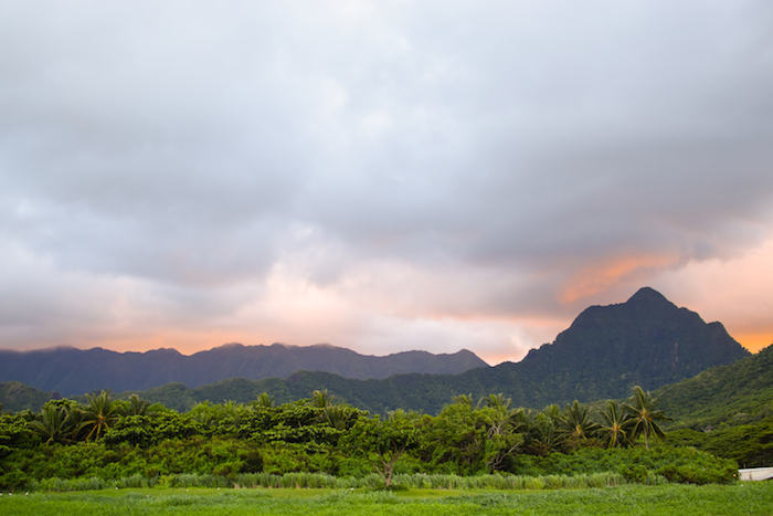 alexander liang hawaii 17