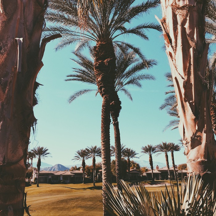 indian-ridge-golf-palm-desert