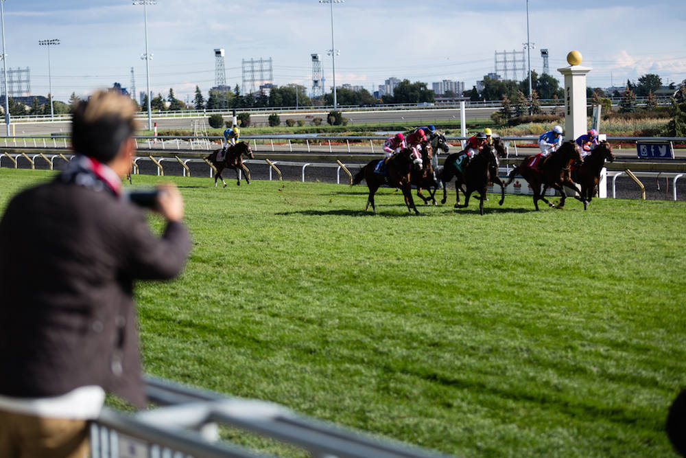 woodbine racetrack horse race style alexander liang 04