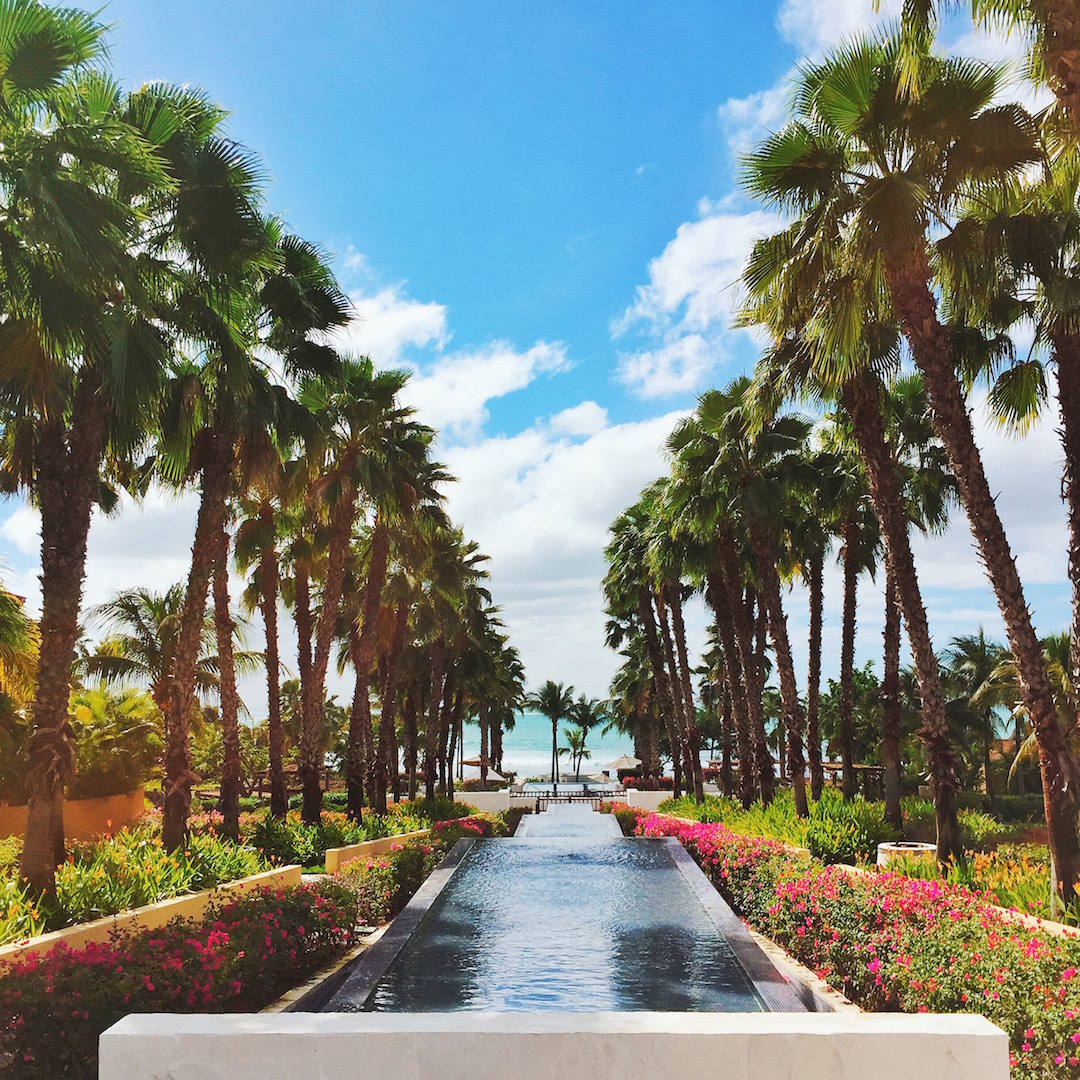 st regis punta mita mexico