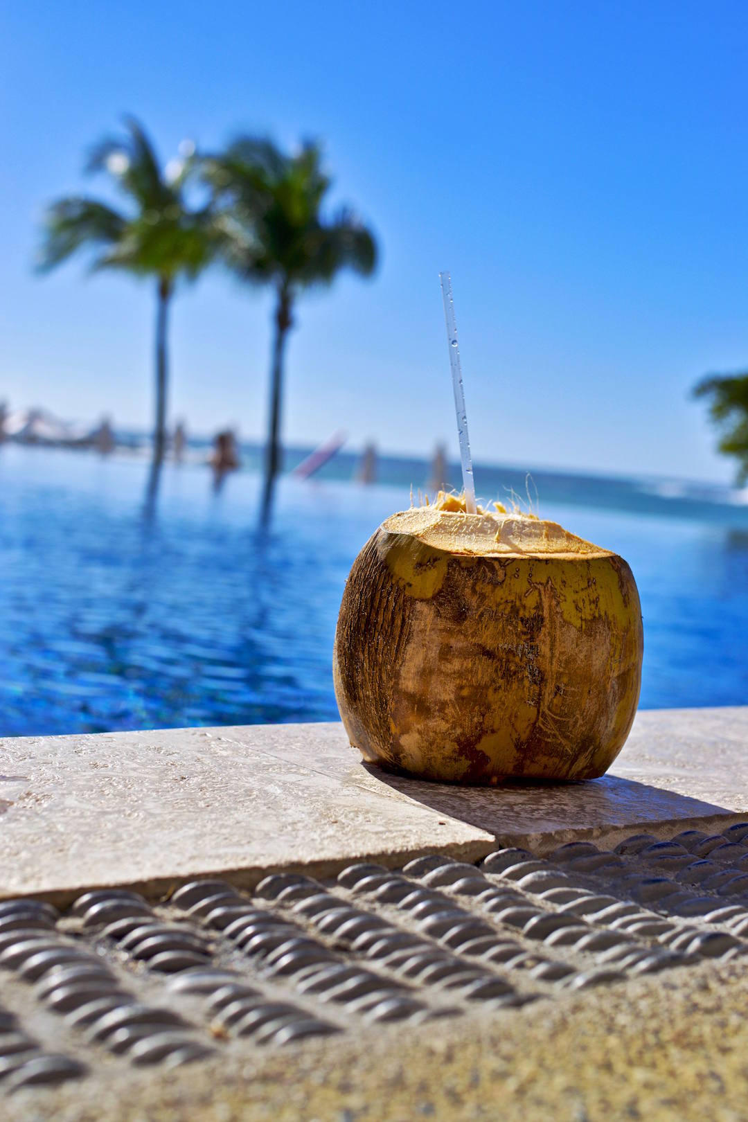 coconut pool tropic vacation