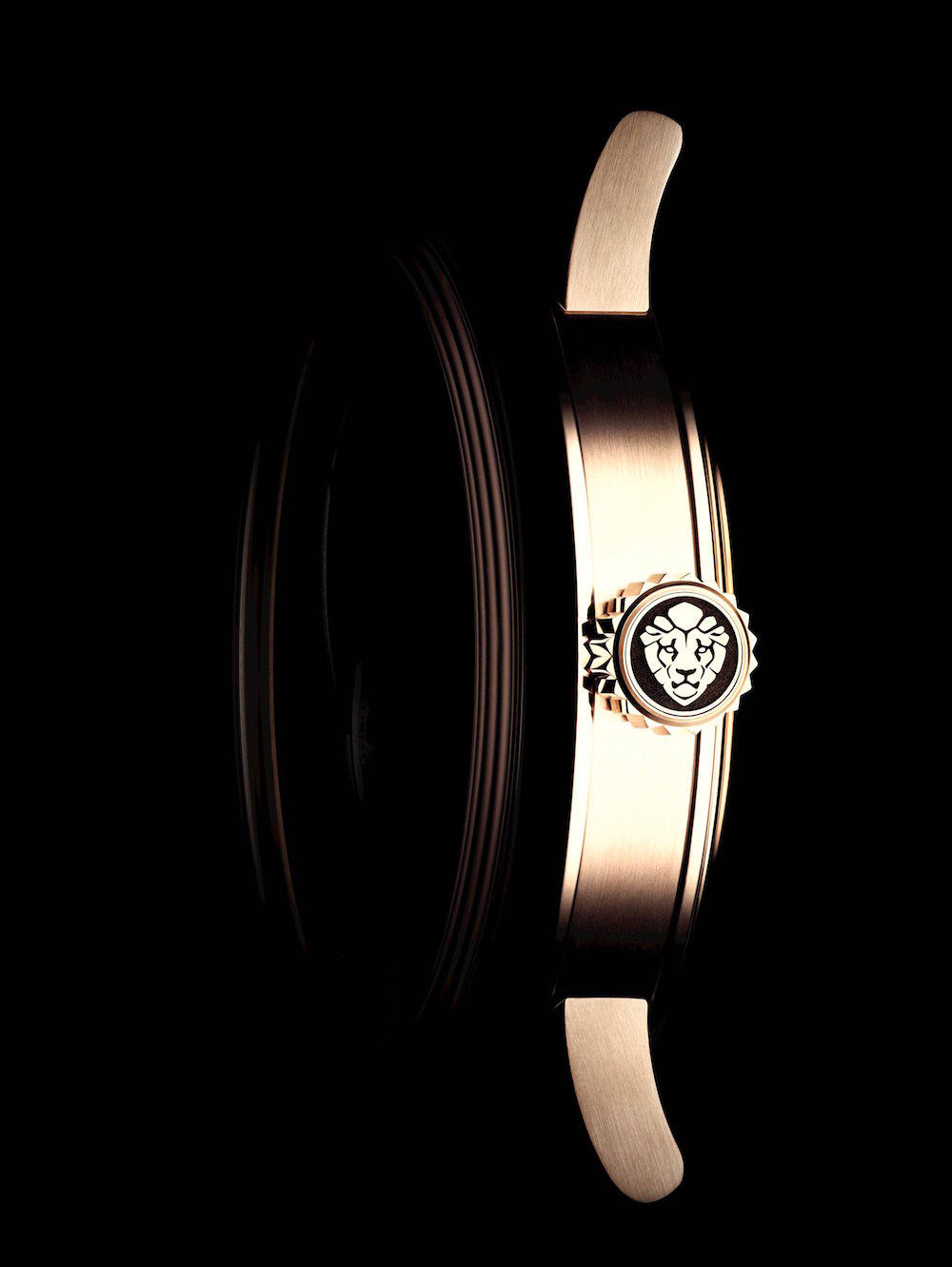 Monsieur de CHANEL watch profile 2