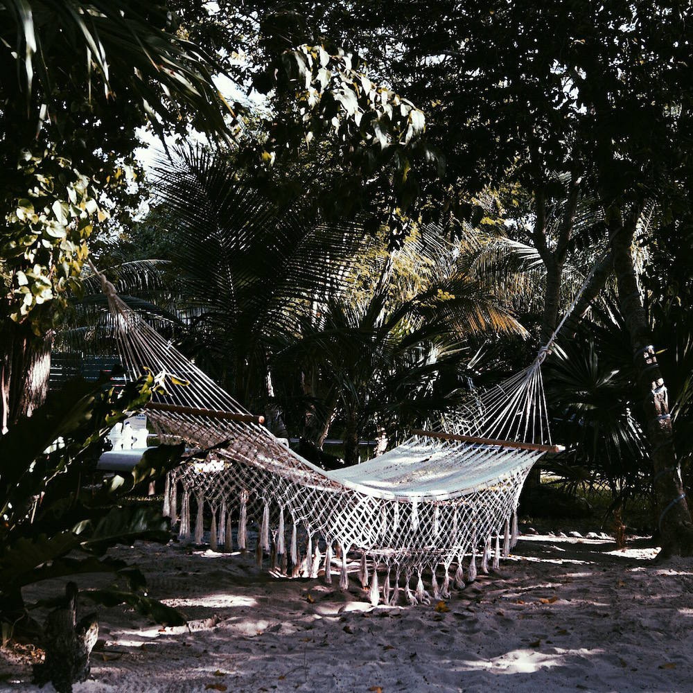 azul fives hammock